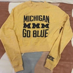 Michigan cropped sweatshirt